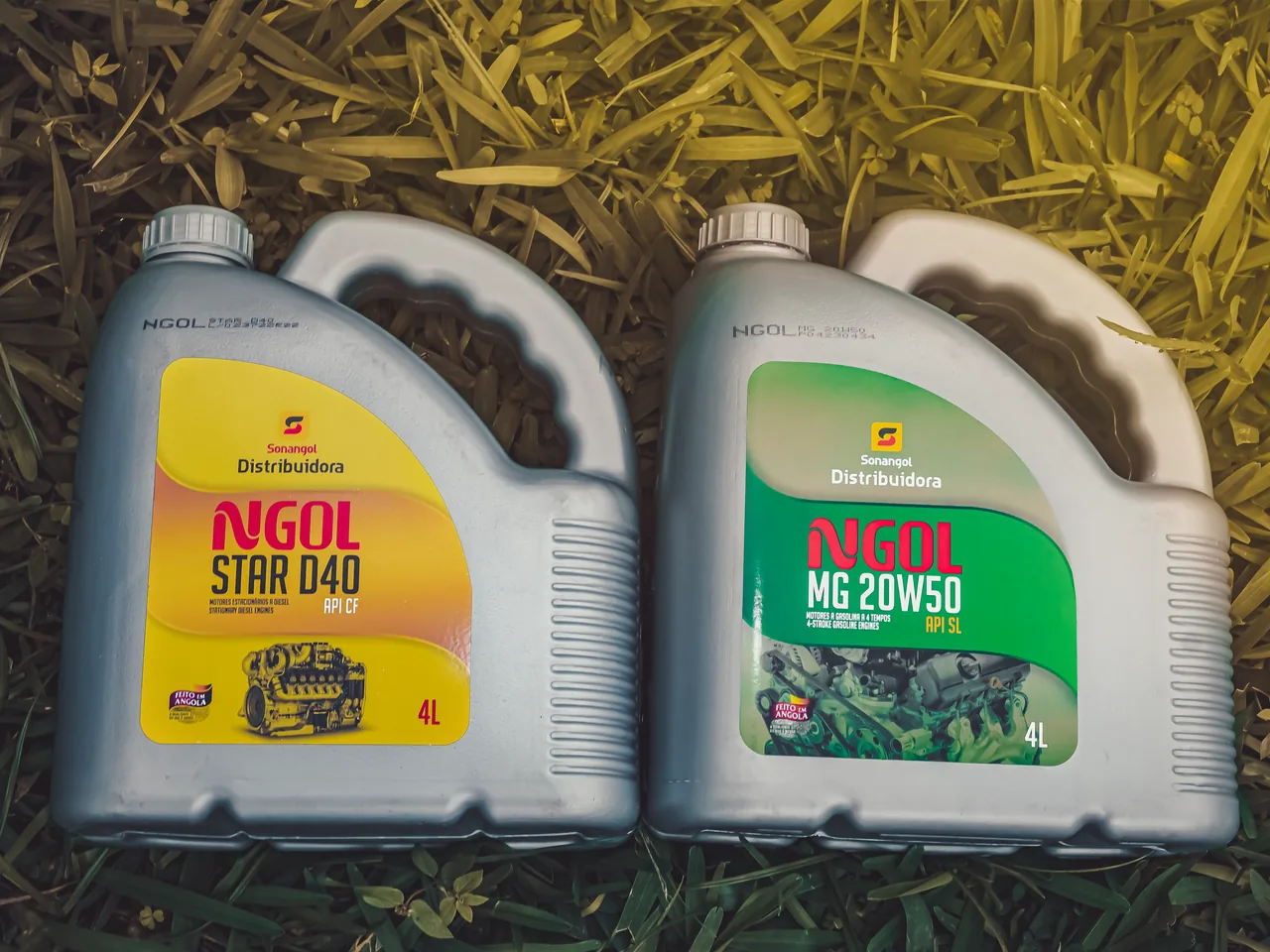 Duas embalagens de quatro litros pousadas em vegetação, com luz natural.